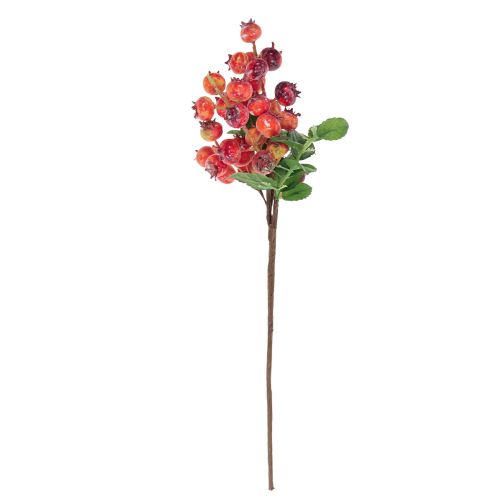 Artikel Rozenbottel deco Rozenbottel tak Kunst deco tak 35cm