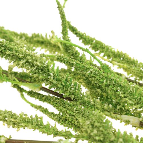 Floristik24 Amarant Groene Cascade Vossenstaart Kunstplant Groen 95cm