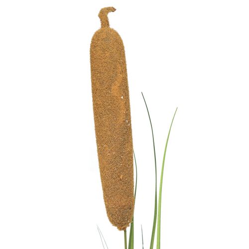 Floristik24 Kunstplanten, lisdodde kunstmatig, rietdecoratie 92cm