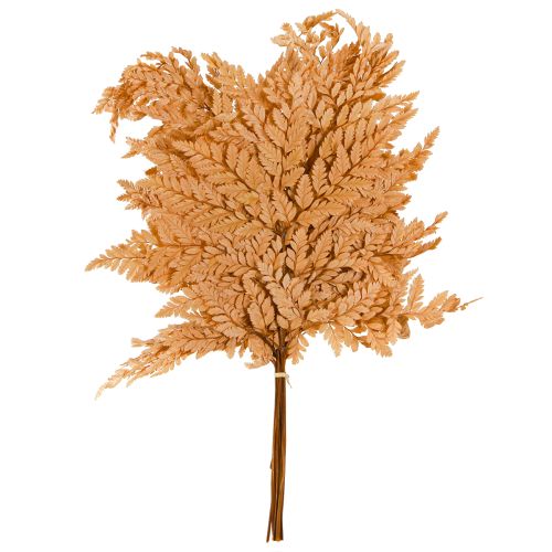 Artikel Varendecoratie Echte varenbladeren Oranje Geconserveerd 45cm 10 stuks