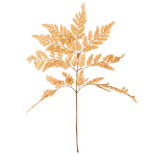 Artikel Varendecoratie Echte varenbladeren Oranje Geconserveerd 45cm 10 stuks