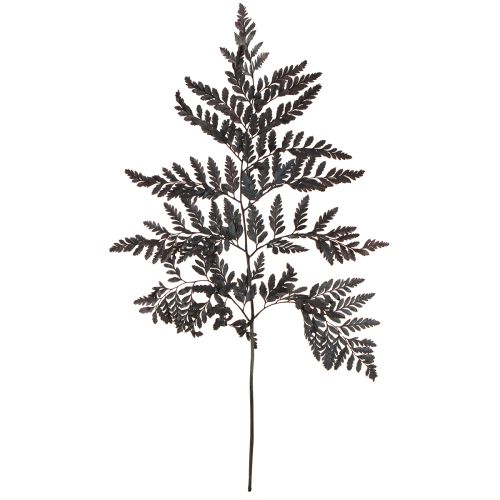 Artikel Varendecoratie Echte varenbladeren Zwart geconserveerd 45cm 10 stuks
