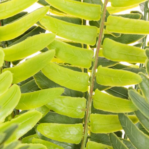 Kunstmatige varentak, kunstmatige groene plant voor decoratie, 45 cm | Floristik24.nl