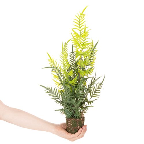 Kunstmatige varenplant met wortelkluit voor huis- en kantoordecoratie, 57 cm | Floristik24.nl