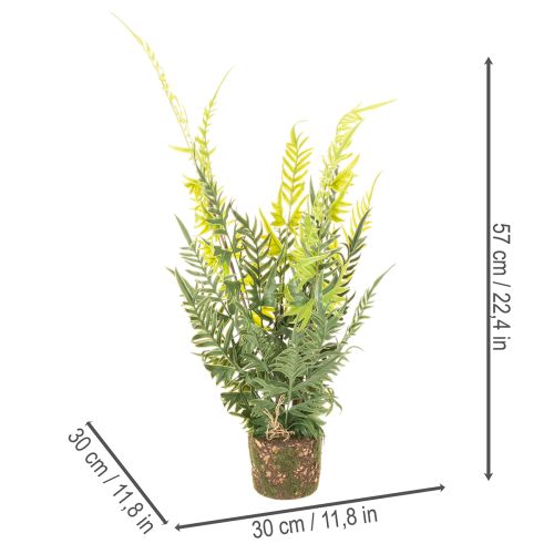 Kunstmatige varenplant met wortelkluit voor huis- en kantoordecoratie, 57 cm | Floristik24.nl