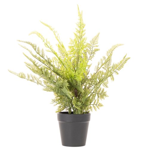 Kunstmatige varen in een pot voor kamergroen, 40 cm | Floristik24.nl