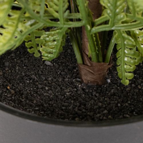 Kunstmatige varen in een pot voor kamergroen, 40 cm | Floristik24.nl
