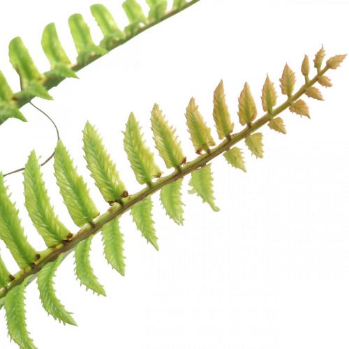Artikel Kunstvaren met Ballen Groene Kunstvaren Deco H52cm