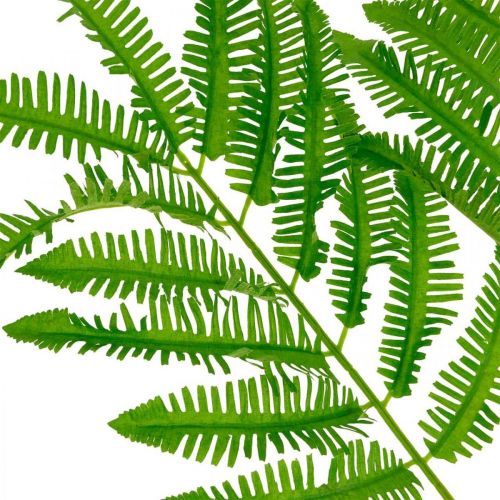 Artikel Varenbladeren groen, varen 3 bladeren op tak, Kroontjeskruid L96cm