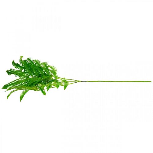 Floristik24 Varenbladeren groen, varen 3 bladeren op tak, Kroontjeskruid L96cm