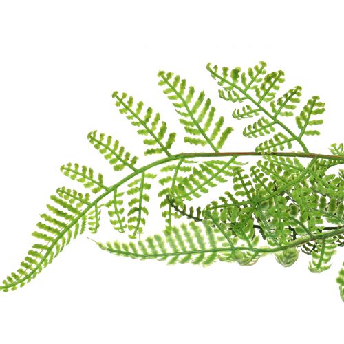 Floristik24 Boomvaren in pot groen 60cm