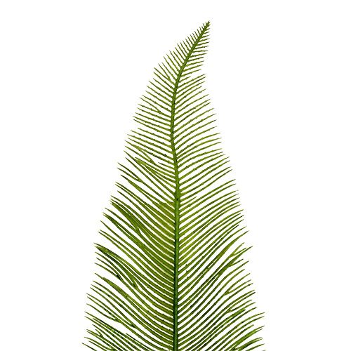 Floristik24 Varenbladeren groen 59cm 6st