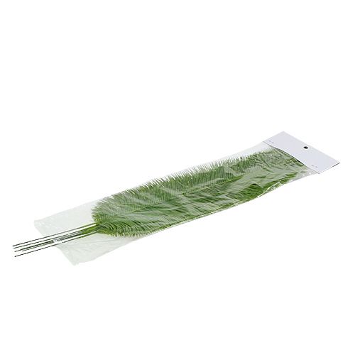 Floristik24 Varenbladeren groen 59cm 6st