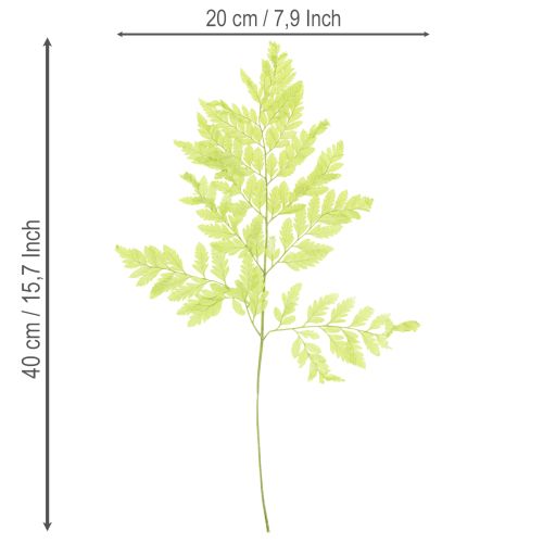 Artikel Varens: Geconserveerd, hoogwaardig natuurlijk materiaal voor duurzame decoratieprojecten, 40 cm, 10 stuks