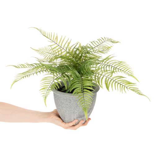 Kunstmatige varen in een plantenpot voor woonkamer en kantoor, 35 cm | Floristik24.nl