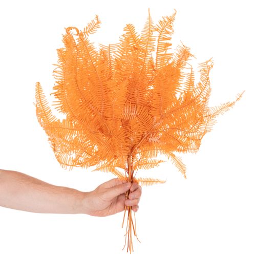 Varentak, geconserveerde varen, gedroogde decoratie voor bloemstukken, 60 cm, 10 stuks | Floristik24.nl