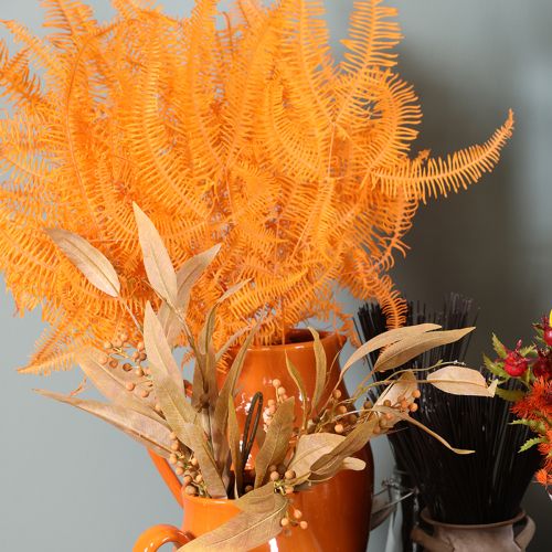 Varentak, geconserveerde varen, gedroogde decoratie voor bloemstukken, 60 cm, 10 stuks | Floristik24.nl
