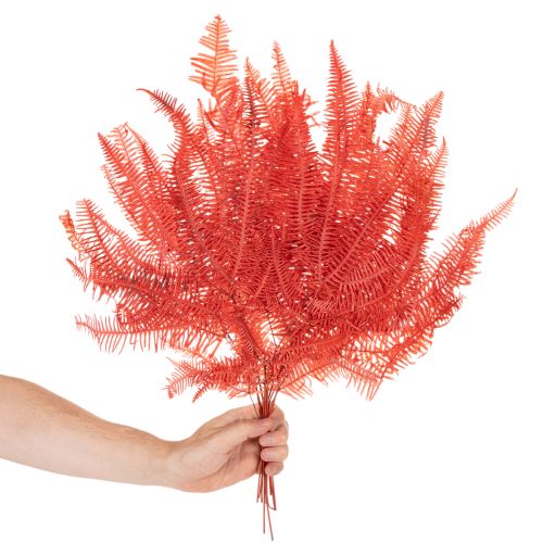 Varens, geconserveerde gedroogde bloemen, herfstdecoratie, 60 cm, 10 stuks | Floristik24.nl
