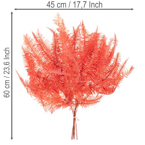 Varens, geconserveerde gedroogde bloemen, herfstdecoratie, 60 cm, 10 stuks | Floristik24.nl