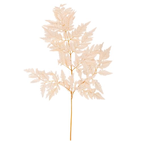 Decoratie met gedroogde varens voor vaas, 42 cm, 10 stuks kopen | Floristik24.nl