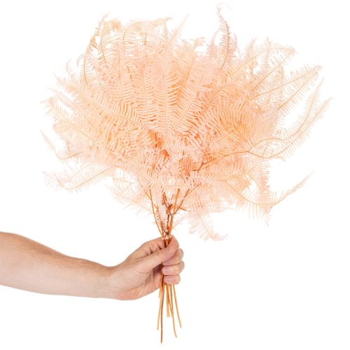 Gedroogde varenbladeren, varendecoratie voor vazen, 60 cm, 10 stuks | Floristik24.nl