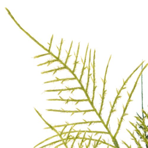 Kunstmatige varentak decoratie, groen, levensecht, 56 cm | Floristik24.nl