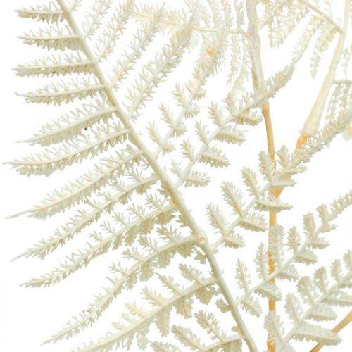 Floristik24 Decoratieve bladvaren, kunstplant, varentak, decoratief varenblad wit L59cm