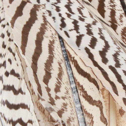 Artikel Fazantenveren voor knutselen bruin beige naturel 20cm 20st