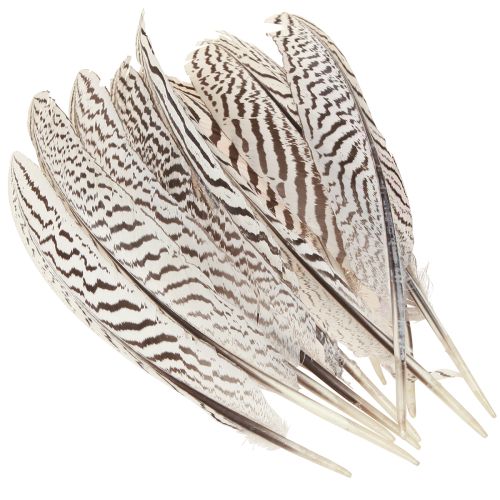 Artikel Fazantenveren voor knutselen bruin beige naturel 20cm 20st