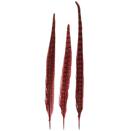 Floristik24 Fazantenveren Rood Echte Veren Decoratie Wijnrood 35-45cm 9 st