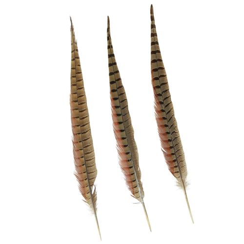 Floristik24 Fazantenveren Decoratie Echte Veren Naturel 40cm 9 st