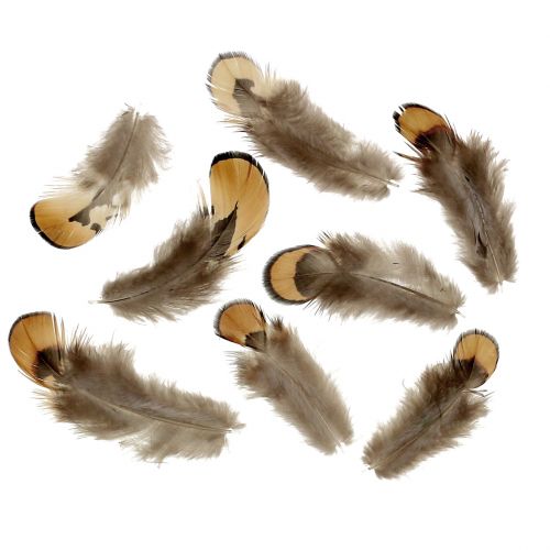 Floristik24 Verenmix naturel 12g