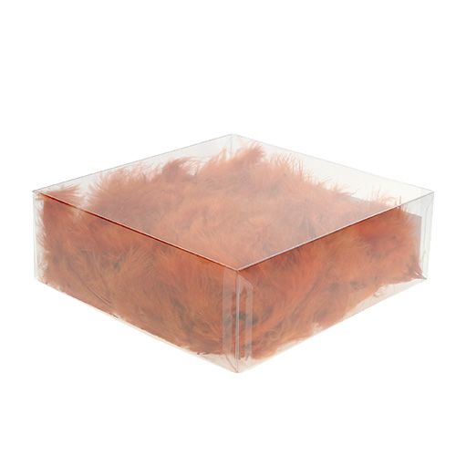 Floristik24 Veer kort donker oranje 30g