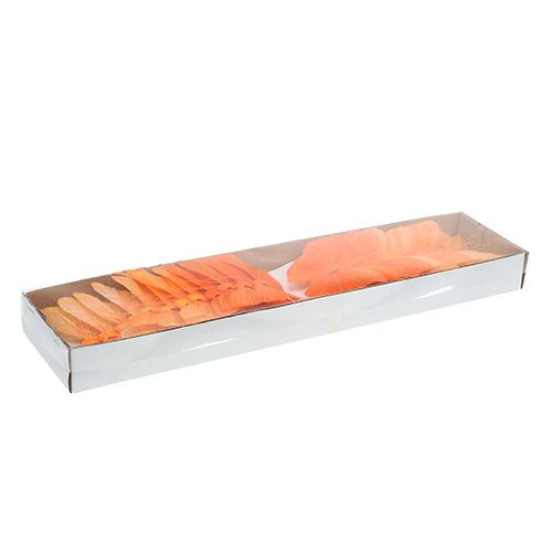 Floristik24 Veer vlinder 8cm oranje 24st