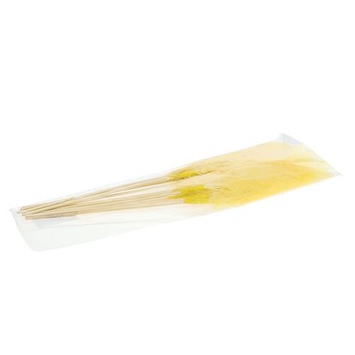 Floristik24 Veer op stok L 30cm Geel 12st