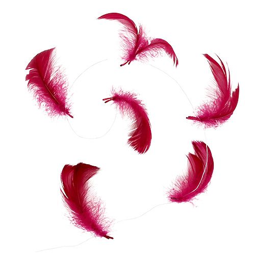 Floristik24 Veer op draad Erika 10m