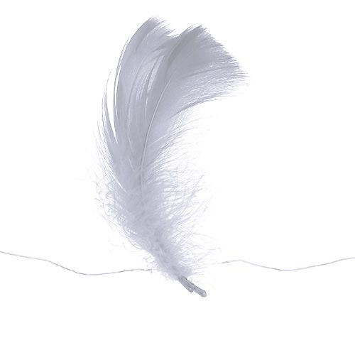 Floristik24 Veer op draad Wit 10m