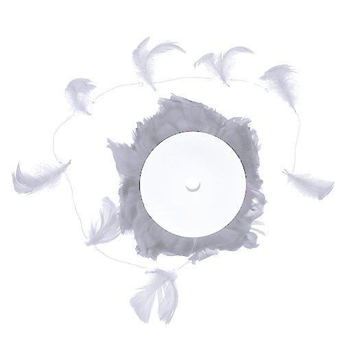 Floristik24 Veer op draad Wit 10m