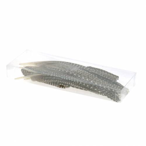 Floristik24 Natuurlijke veren 18 - 24cm 10g