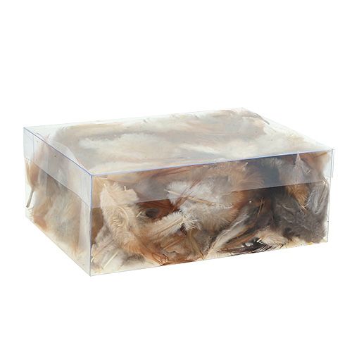 Floristik24 Soort veren. 5-15cm natuur 228st