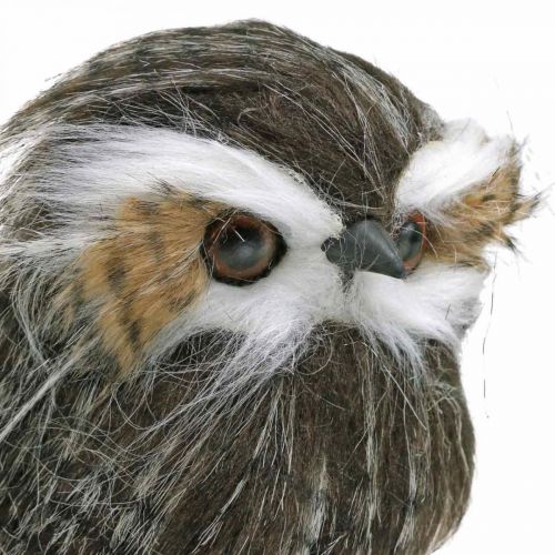 Floristik24 Uil om te versieren, herfst, decoratieve vogel, bosdecoratie H21cm
