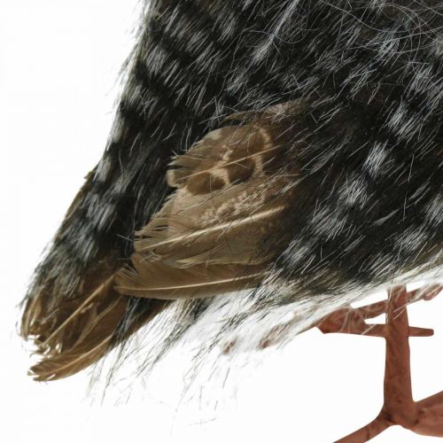 Floristik24 Uil om te versieren, herfst, decoratieve vogel, bosdecoratie H21cm