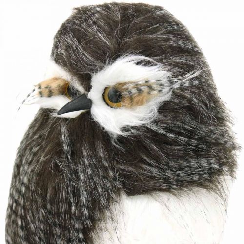 Floristik24 Bosuil, winterdecoratie, decoratieve uil, herfst H41cm