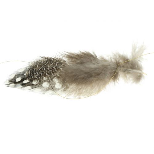 Floristik24 Veren slinger bruin 5m