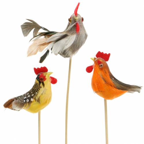 Floristik24 Haan met echte veren op stok oranje, geel, bruin assorti H5-6cm 12 st