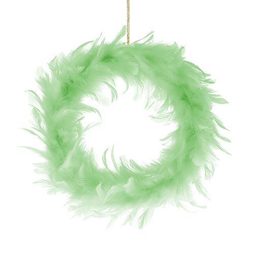 Veerring lichtgroen Ø15cm 4st Veerring lichtgroen Ø15cm 4st