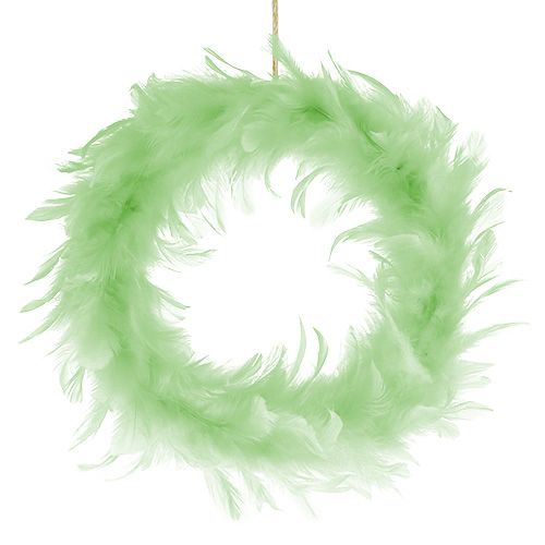 Veerring lichtgroen Ø20cm 3st Veerring lichtgroen Ø20cm 3st