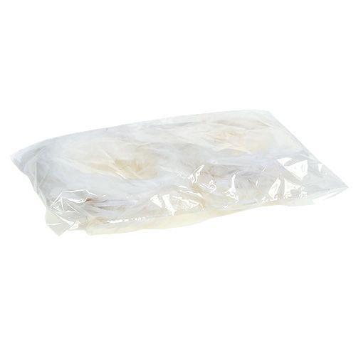 Floristik24 Veerring Ø15cm wit 4st