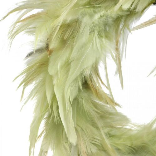 Floristik24 Decoratieve verenkrans groen Ø16cm echte verenkrans lentedecoratie