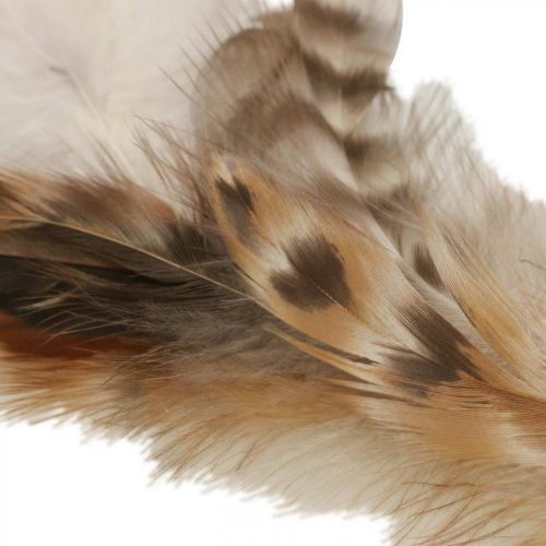 Artikel Verenkrans decoratieve veren natuurlijke paasdecoratie Ø15cm 4 st
